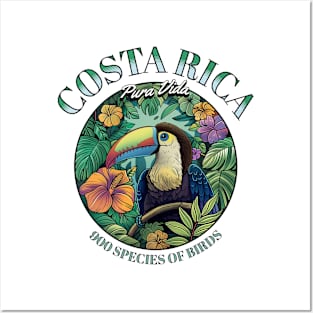 Birdwatching in Paradise Toucans of Costa Rica Posters and Art